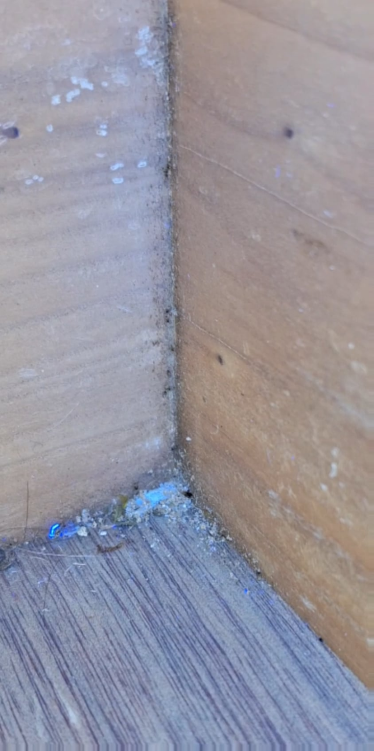 小さなバグ...それらを取り除く方法は？