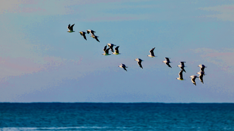 スクリーンショット 2025-06-02 15.30.46