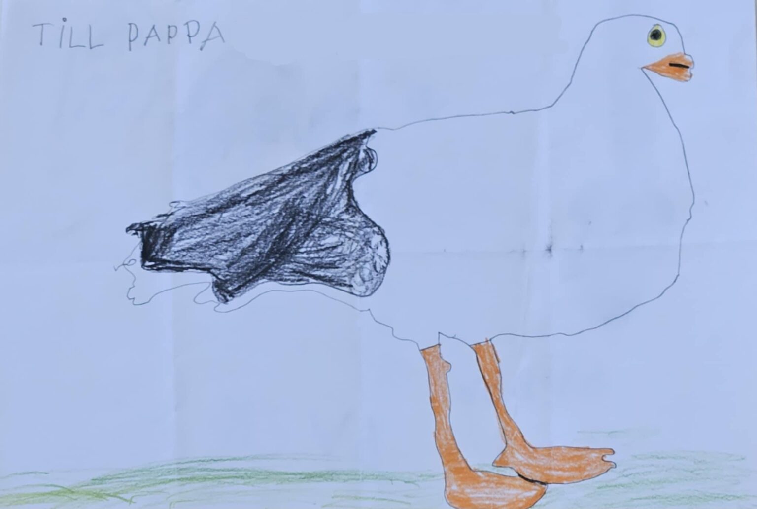 モクタリンはすべての栄光ですが、私が7歳のときに父に与えた鳥の絵を見ましたか？