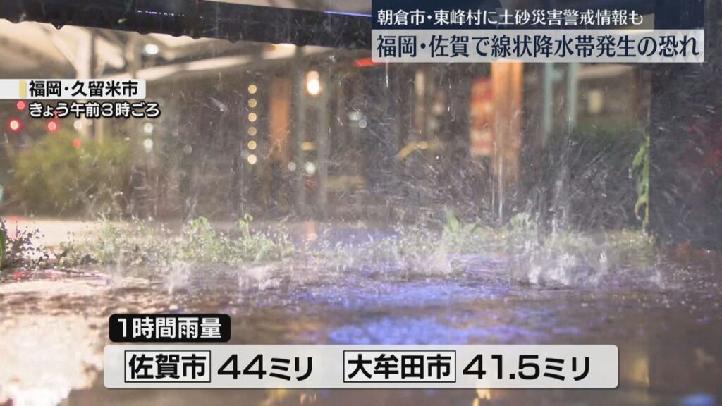 共有