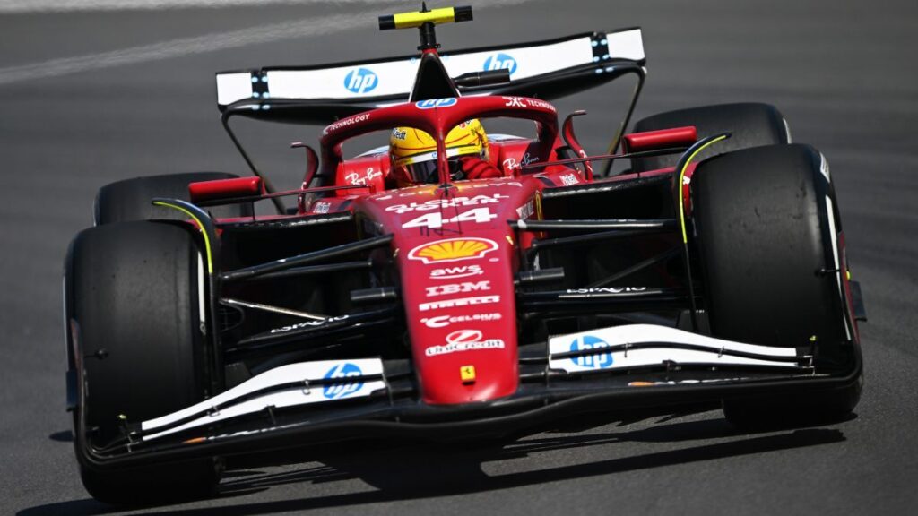 レース中に小動物はねたハミルトン「悲しすぎる」　Ｆ１カナダＧＰ - CNN.co.jp