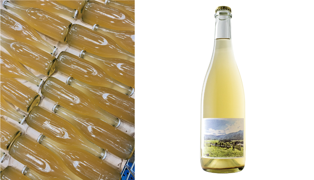 【連載】山形のぶどうとワインに恋焦がれ　vol.12