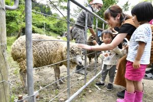 跡市ひつじ牧場 紬のまきば « しまね Kids Fun Trip 子供と楽しむ島根旅♪