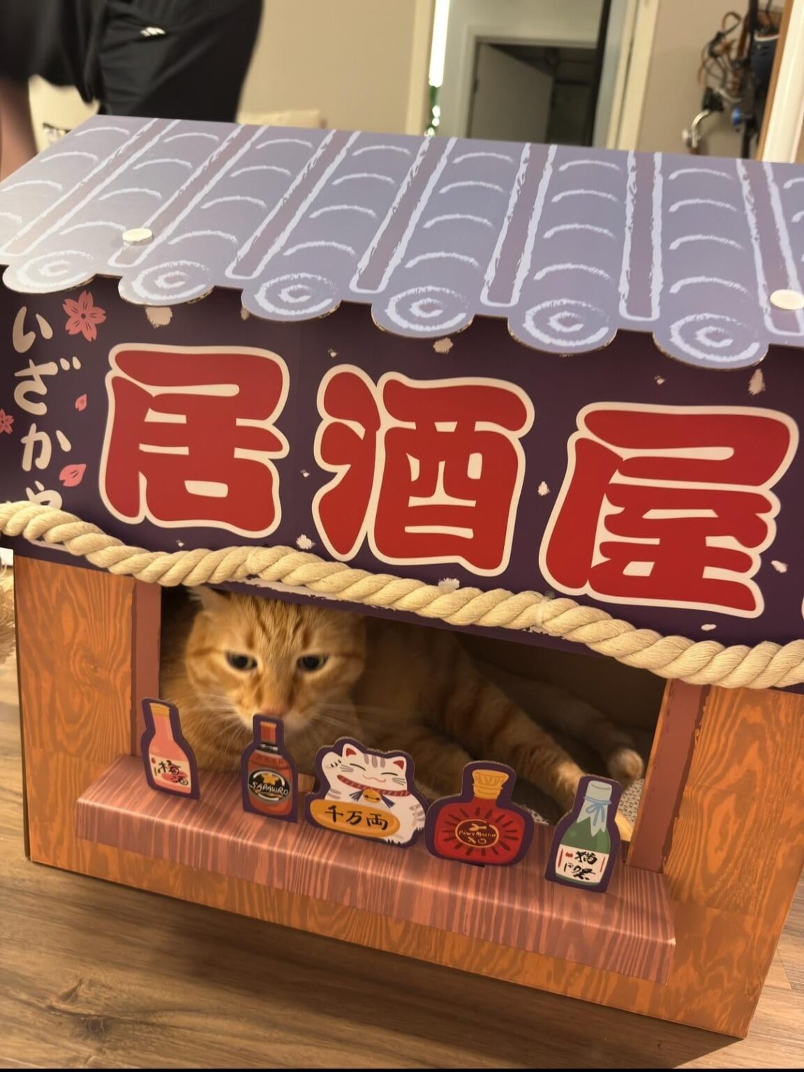 にゃーんちゃん