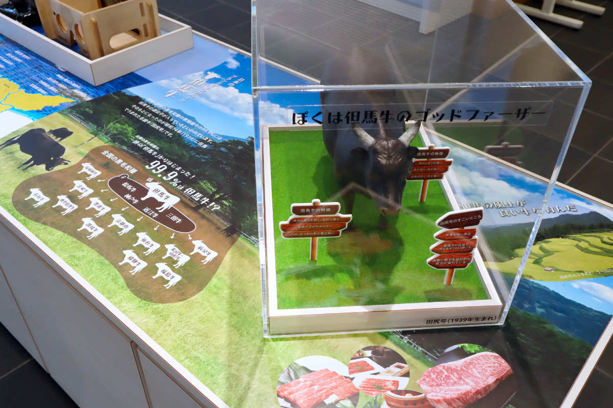 兵庫五国の魅力が一目で分かる！観覧無料の『県立兵庫津ミュージアム』ひょうご発見広場 [画像]