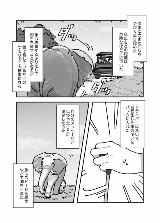 【マンガ】欲望を満たすために狩猟し「命」を奪う…アフリカの「トロフィー・ハンター」に狙われた野生動物「ビッグ5」の悲劇