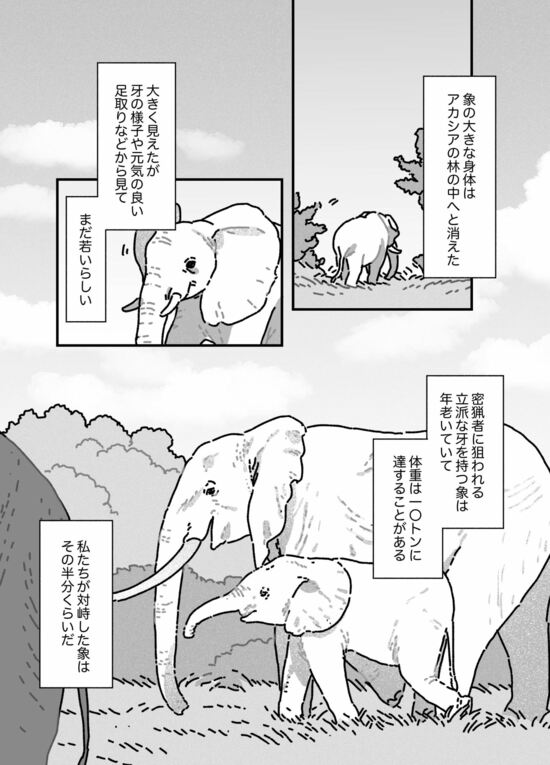 【マンガ】欲望を満たすために狩猟し「命」を奪う…アフリカの「トロフィー・ハンター」に狙われた野生動物「ビッグ5」の悲劇