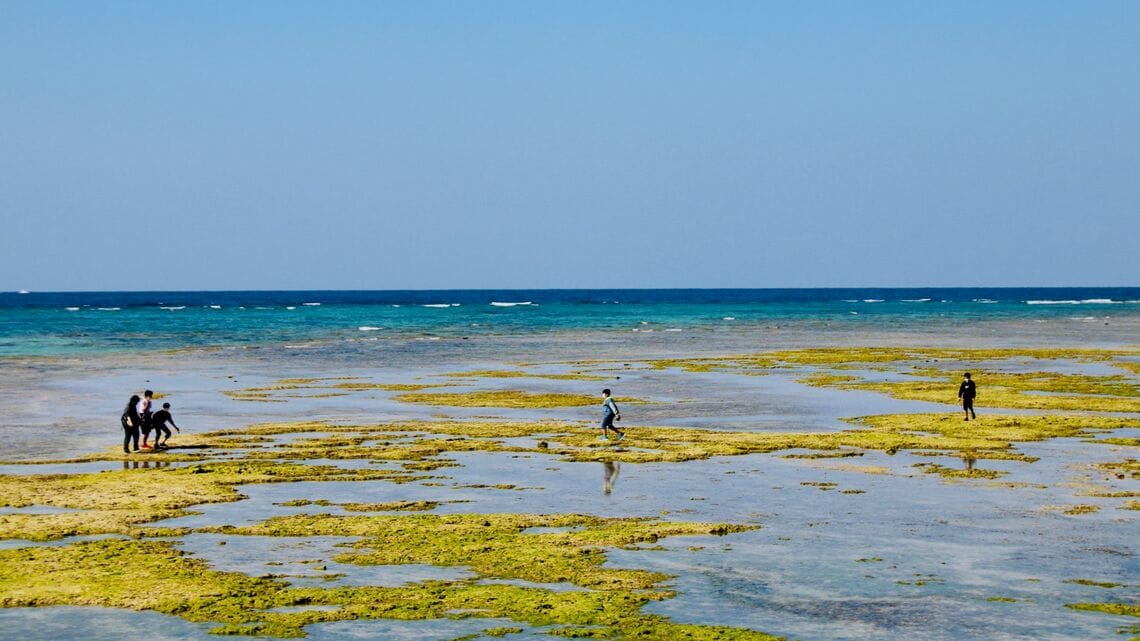 沖縄・浦添西海岸