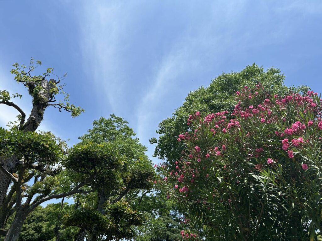 【徳島めくり】(20日)県南部は夜から曇り/ (21日)夏至 - 徳島新聞デジタル
