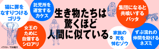 【マンガ】欲望を満たすために狩猟し「命」を奪う…アフリカの「トロフィー・ハンター」に狙われた野生動物「ビッグ5」の悲劇