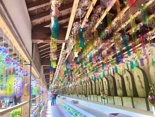 童学寺 まけまけ風鈴祭り｜イベント｜徳島新聞デジタル