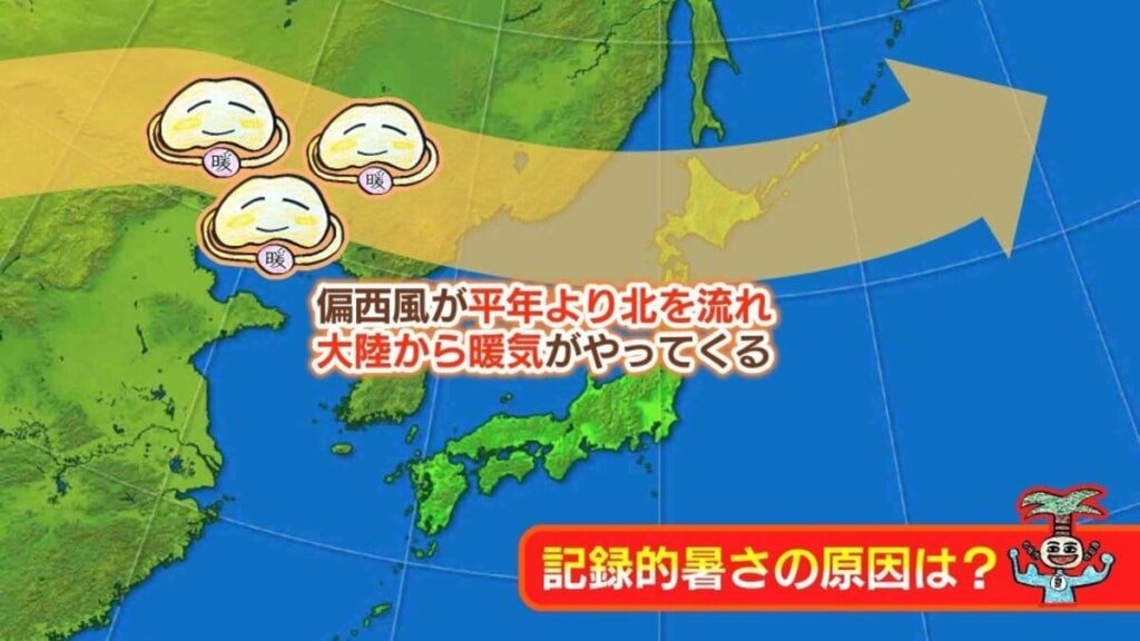 北海道の6月は記録的暑さに 【観測史上最多】1か月間の真夏日が15日 「偏西風」の影響で今夏は猛暑に | TBS NEWS DIG (1ページ) - TBS NEWS DIG
