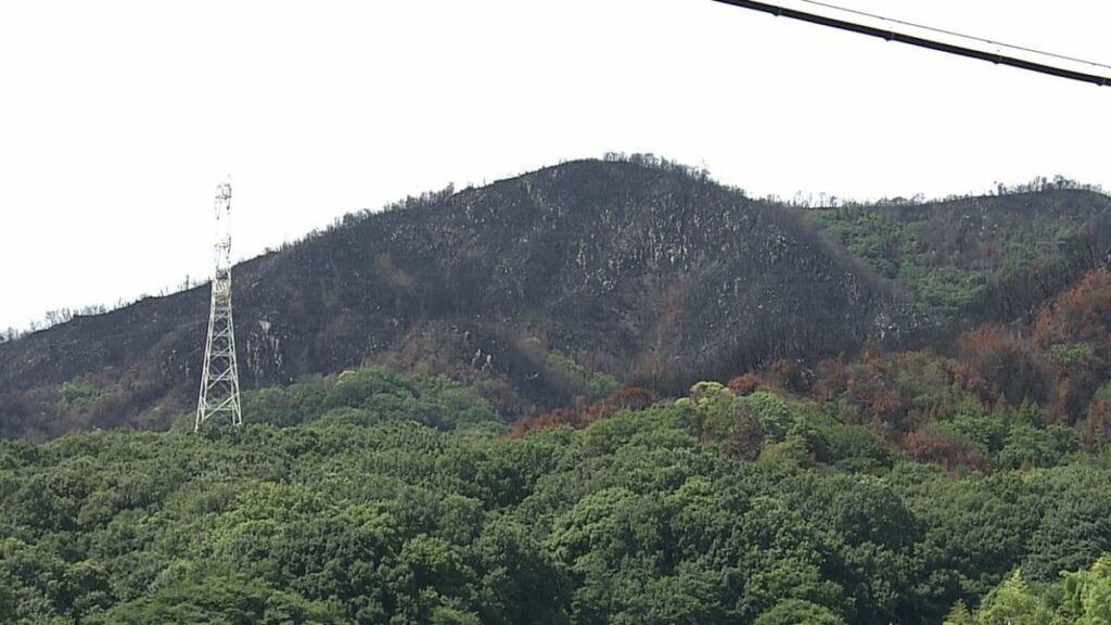 3月発生の山林火災について県と市が住民説明会 復旧に向けた森林の調査結果などを報告 農家からは支援求める声も【岡山】 | 岡山・香川のニュース | 天気 | RSK山陽放送 - TBS NEWS DIG