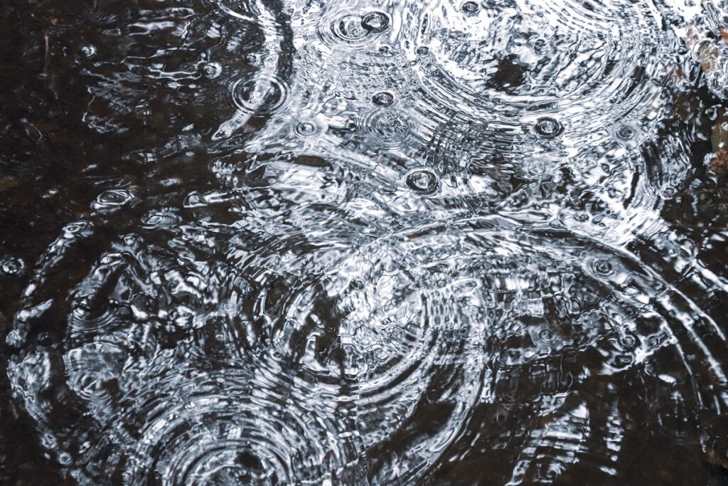 三重県、6月11日まで大雨恐れ…ひどく降るのは何時頃? 警報級の可能性も、気象台発表 | 社会 | 福井のニュース - 福井新聞社