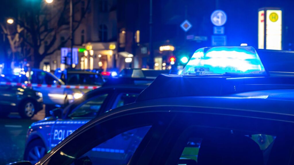 もはやテロ…｢総勢50人の大家族が集まり病院で警察官と乱闘｣世界2位の移民大国ドイツで起きていること マラミエ･クルド人の｢大家族犯罪｣はドイツ司法の｢想定外｣だった | PRESIDENT Online（プレジデントオンライン）