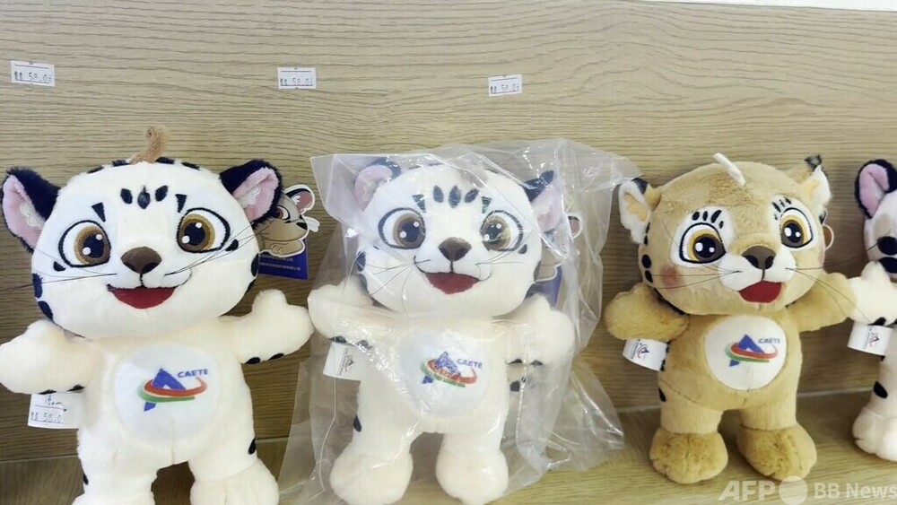 動画：中国・アフリカ経済貿易博で初の「名品展」　ギフト商品も人気　写真1枚　国際ニュース：AFPBB News