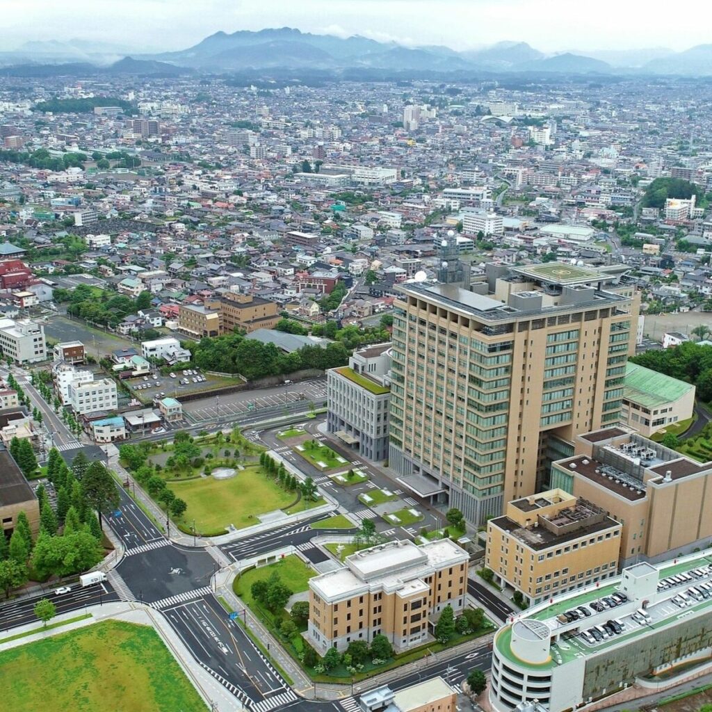 参院選栃木選挙区 投開票まで１カ月 自民「僅差」分析に焦り 野党乱立、浸透が課題｜下野新聞デジタル - 下野新聞社