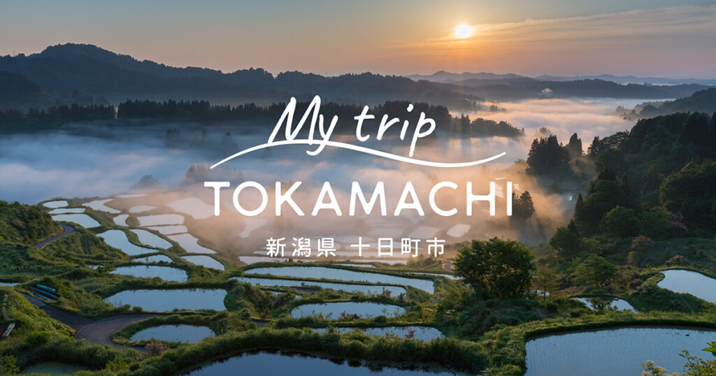 6月10日 まつだい地域の棚田周辺の様子。【新潟県十日町市】 | 十日町市観光協会