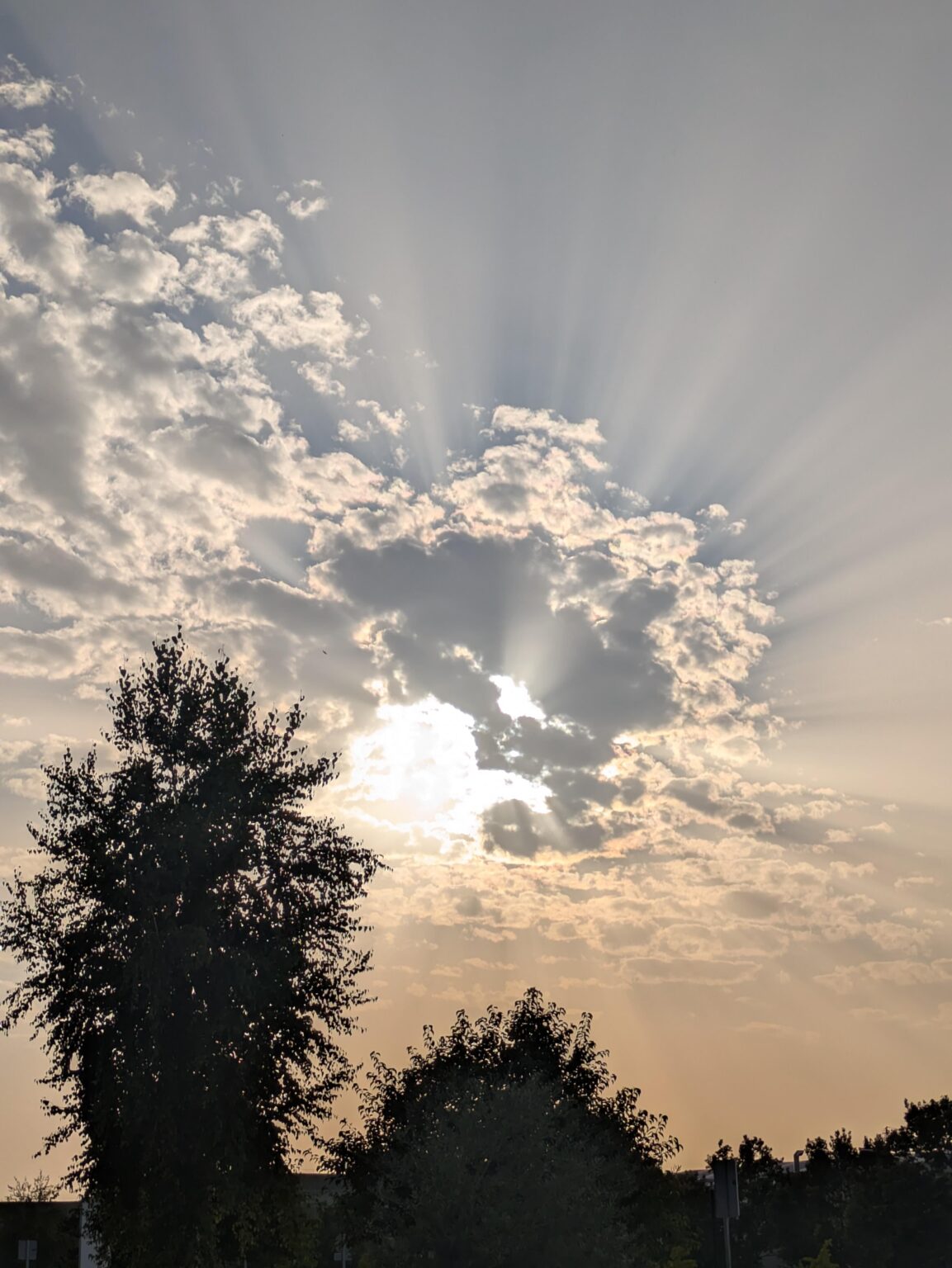 今日は空がきれいでした