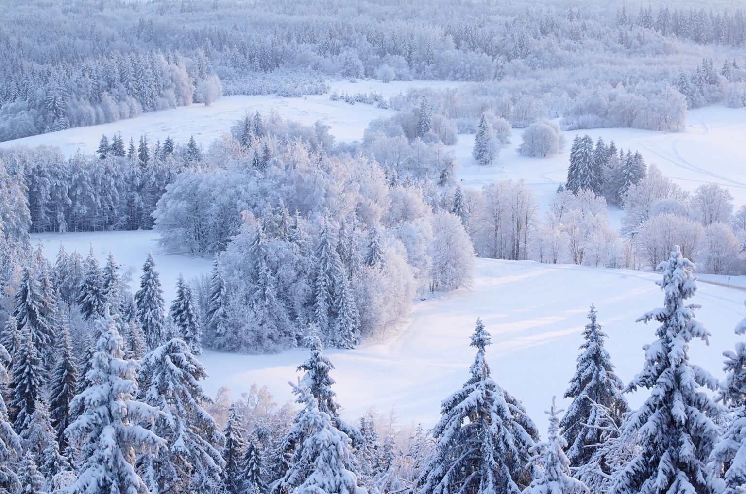 Haanja Upland