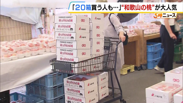 『２０箱買う人も』旬を迎える桃　直売所に長い行列…カートに積みあがる箱　車中泊して臨む夫婦も　和歌山