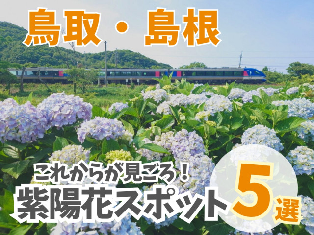 【鳥取・島根】これから見ごろを迎えるあじさいの名所5選！海の見えるスポットや列車と一緒に撮影できるアジサイ公園も。（na-na）｜ｄメニューニュース - ｄメニューニュース