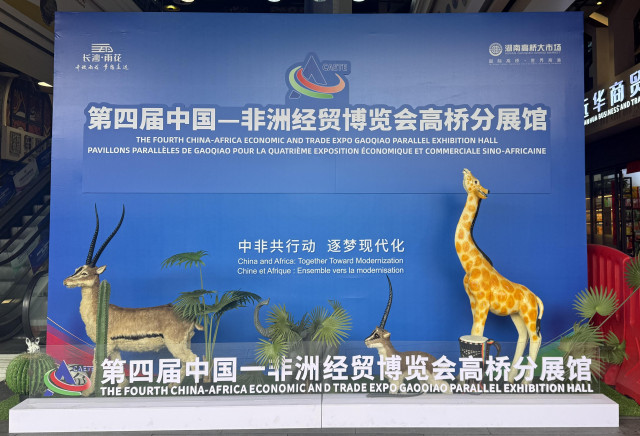 第4回中国・アフリカ経済貿易博覧会のサブ展示場を訪ねて
