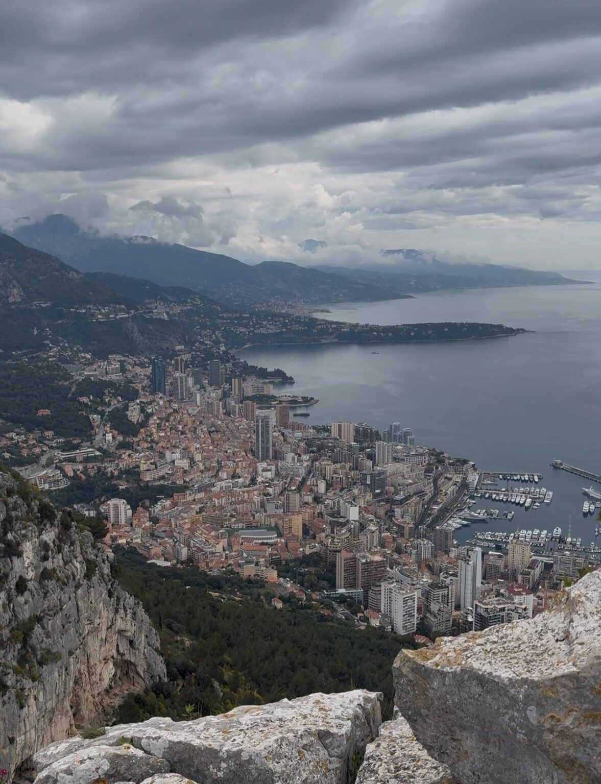 モナコに関する私のお気に入りの眺め（犬の頭から）