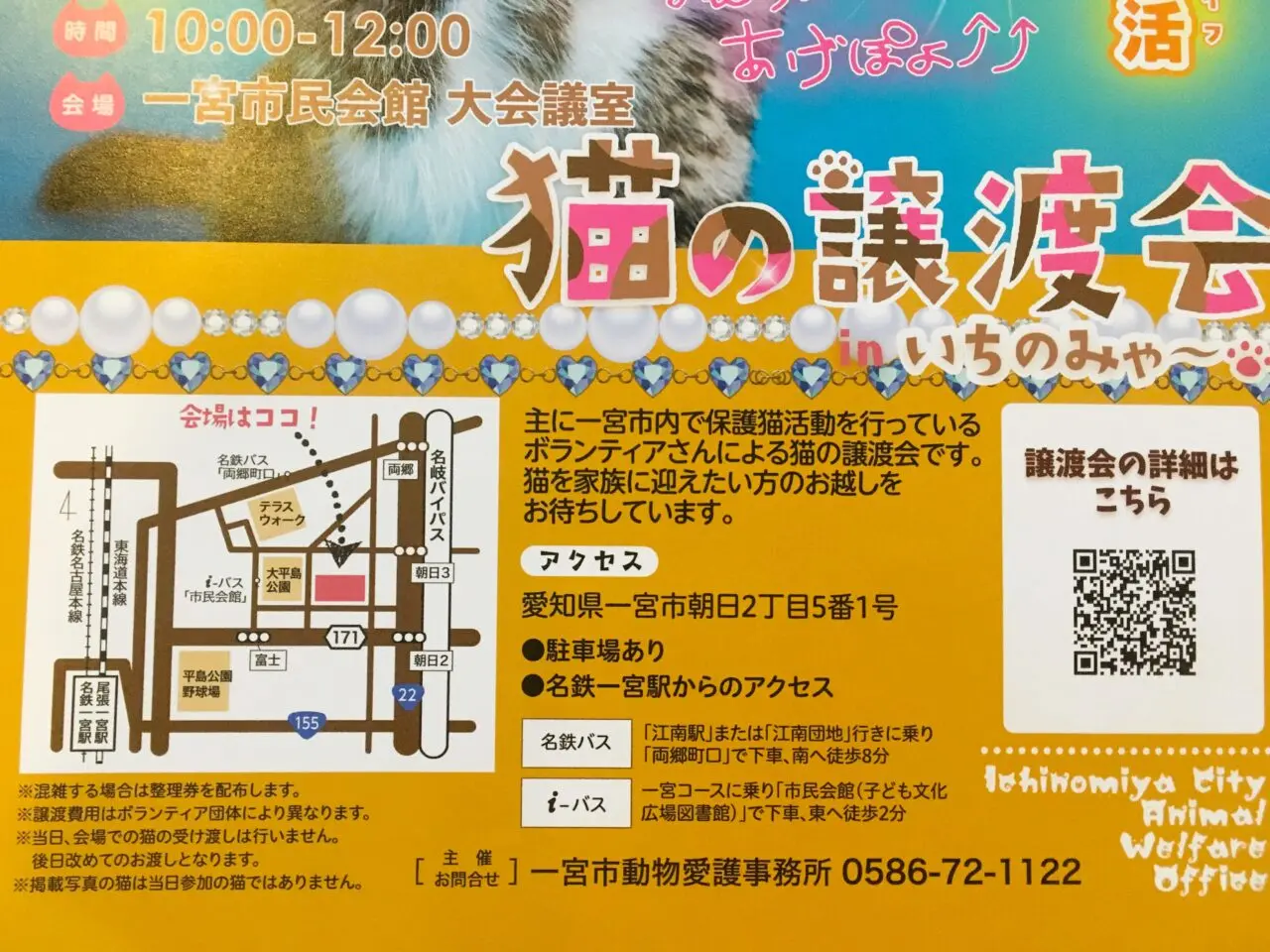 猫の譲渡会（６月）