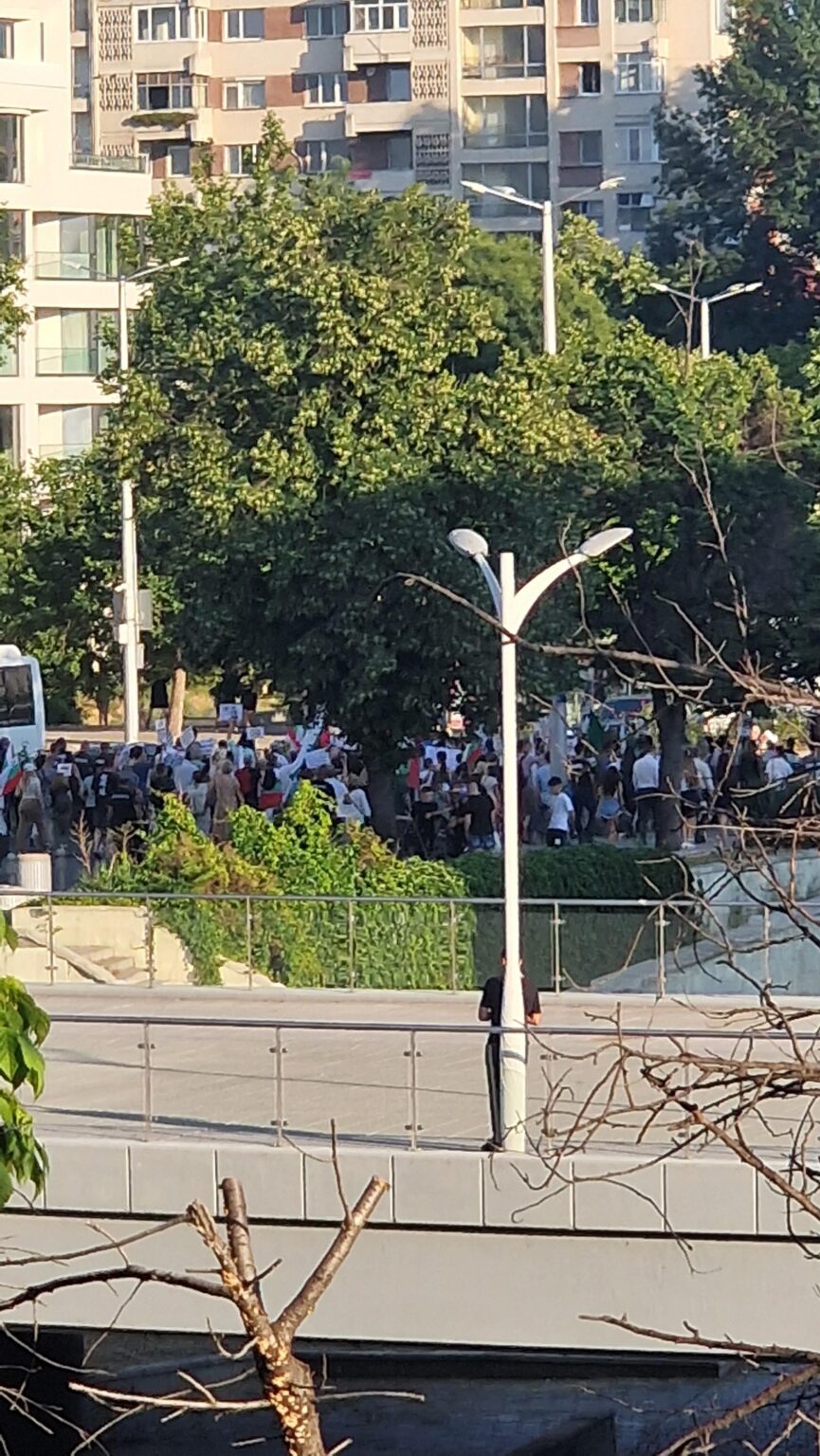 メガ抗議 - 反ユーロ（25人）プロフディブ