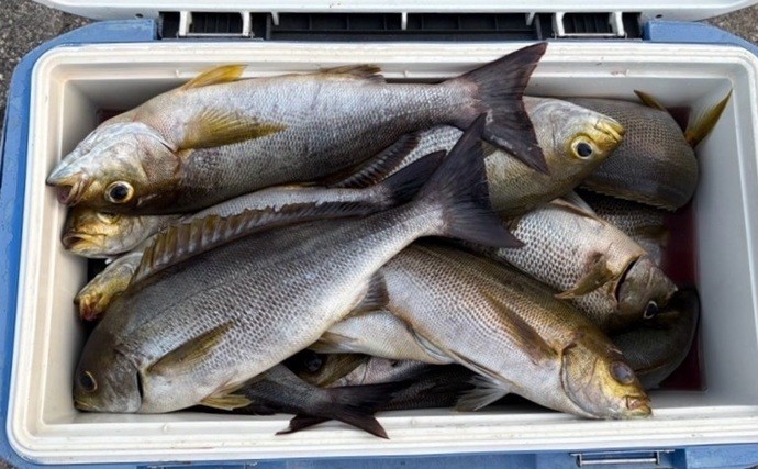 【今週の全国厳選釣果】圧巻25kgのイシナギ浮上！三重県では夏を告げる旬魚イサキが爆釣中