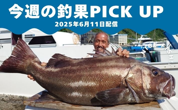 【今週の全国厳選釣果】圧巻25kgのイシナギ浮上！三重県では夏を告げる旬魚イサキが爆釣中