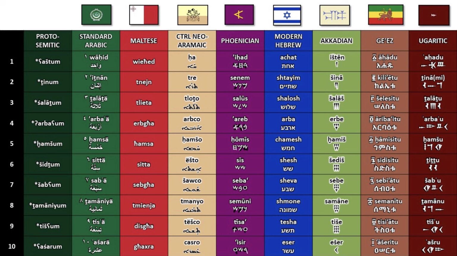 セムティックラング比較