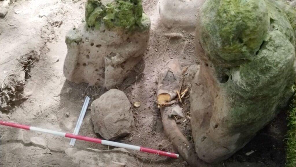 ３０００年前のマヤ文明の遺跡を発見　中米グアテマラ - CNN.co.jp