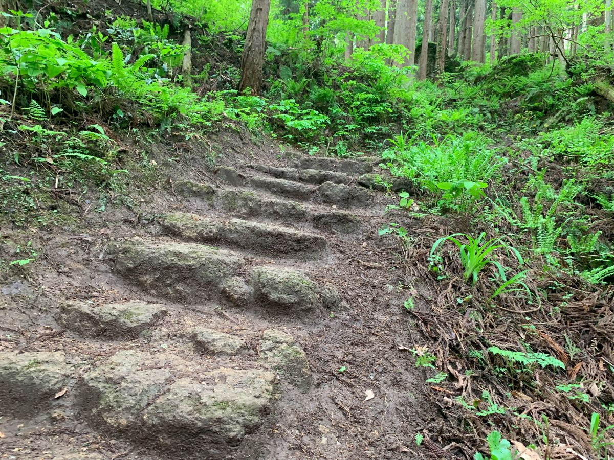 「ぼくのたいき君」 その8・山寺のたいき君～の巻