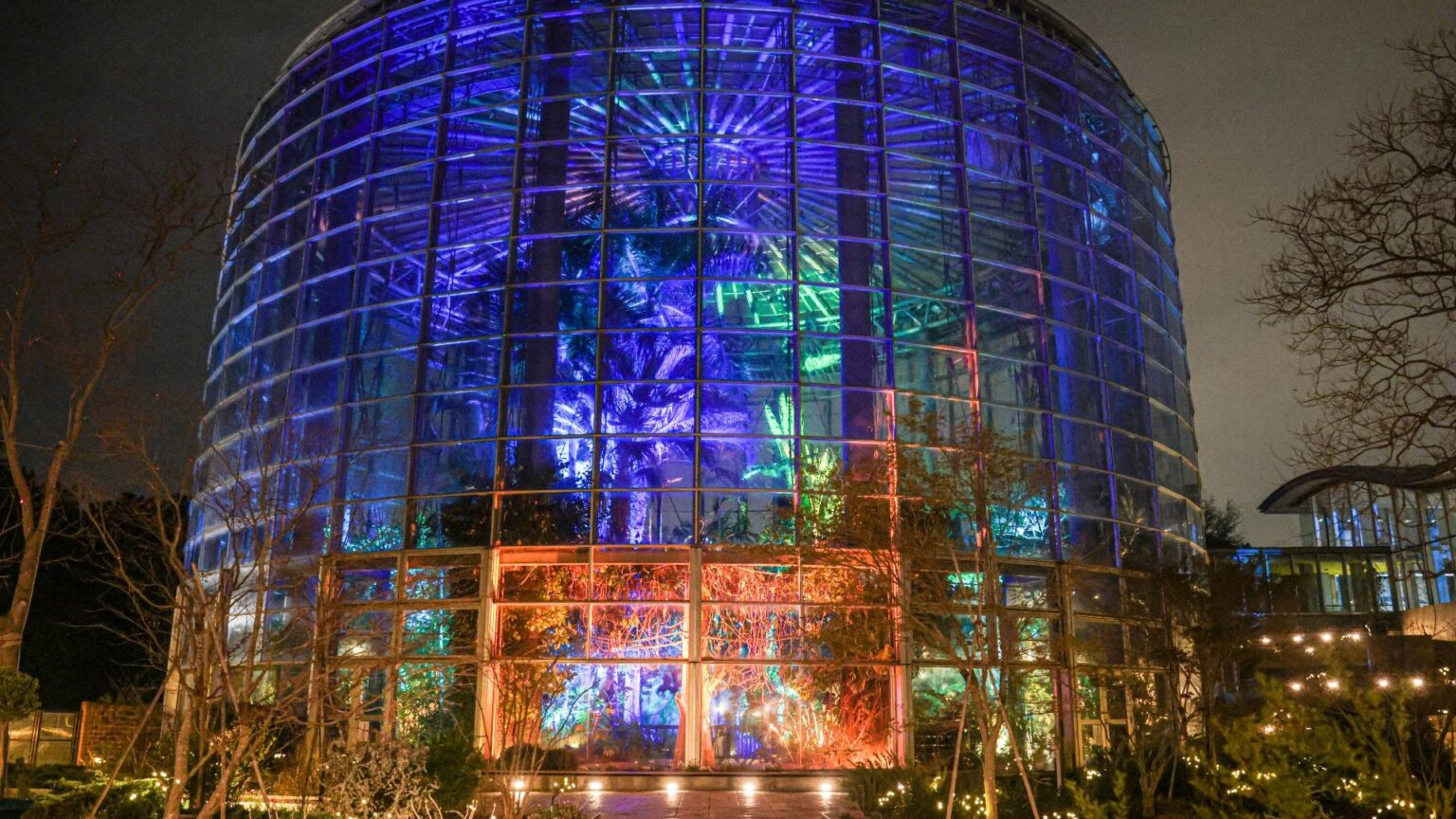【千葉市】稲毛海浜公園 「BOTANICA MUSEUM」 夜の演出照明が美しい！映える写真に感動！（ぶんぽん） - エキスパート