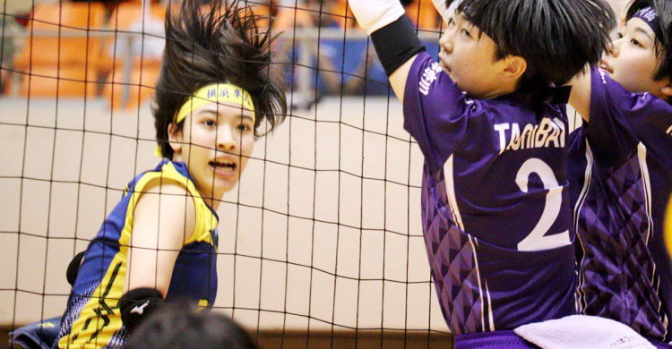 バレーボール 女子・横浜隼人が２年ぶり３度目の栄冠、男子・慶応が２連覇 神奈川県高校総体 - カナロコ