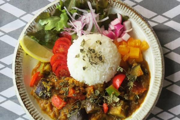 【Spicy Curry WANYA（ワンヤ）】静岡で南インドの味を味わえる！グルテンフリーの本格スパイスカレー／静岡市｜静岡新聞アットエス