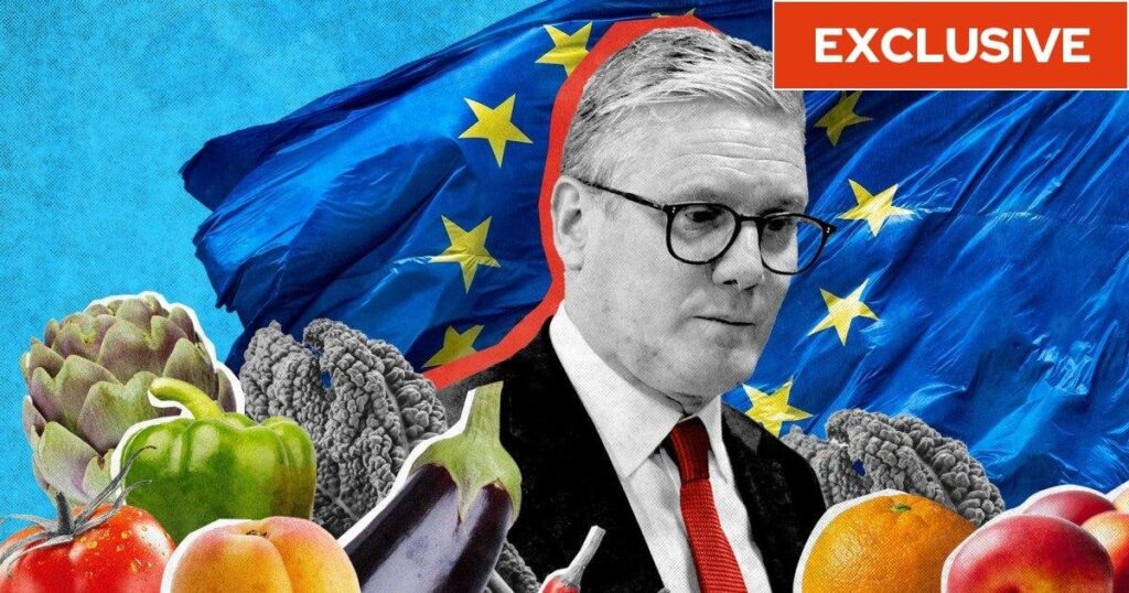 EUの果物と野菜は、英国の軸の境界チェックがBrexitリセットでチェックするにつれて安くなるように設定されています