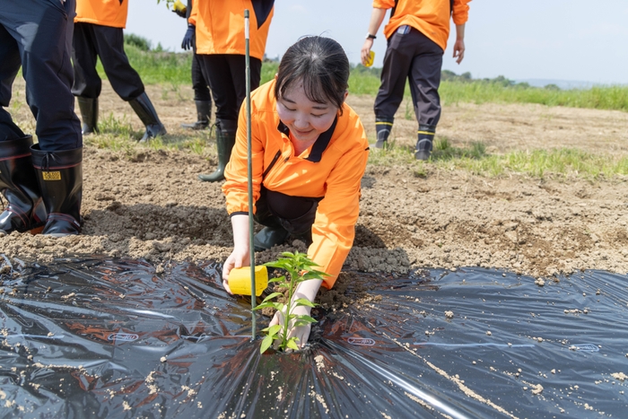 夏に向けて成長が楽しみです