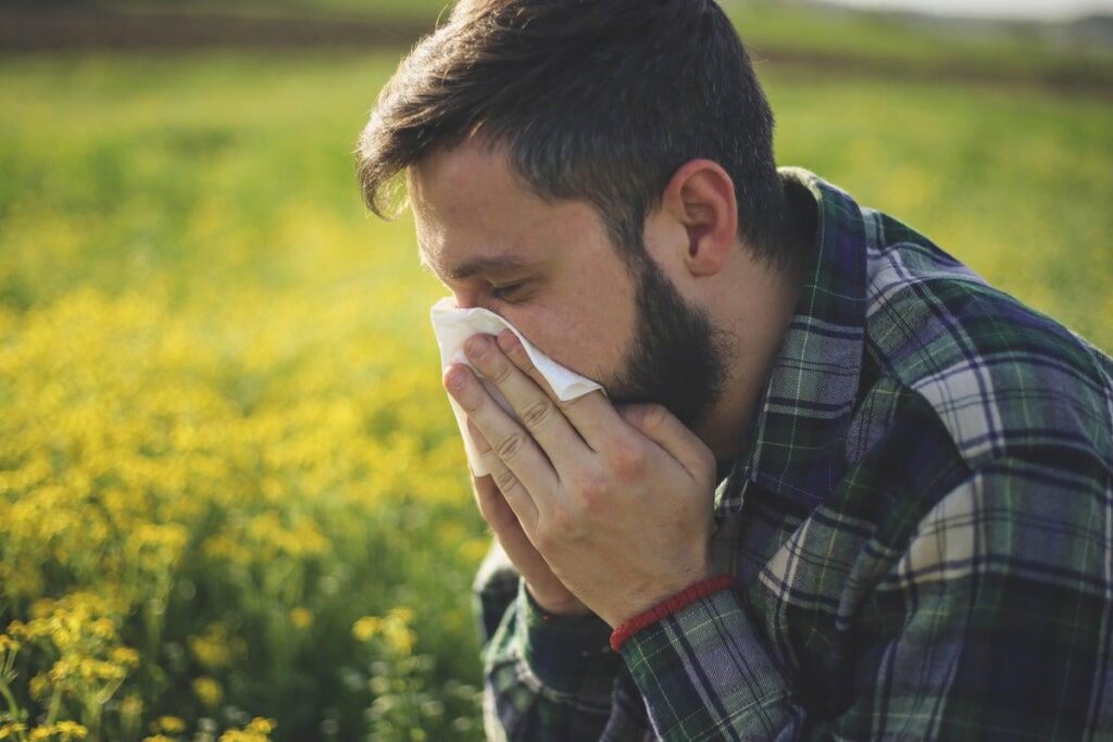 英国の気温が30cに急上昇するにつれて、花粉数が高い上で発行されたHayfeverアラート