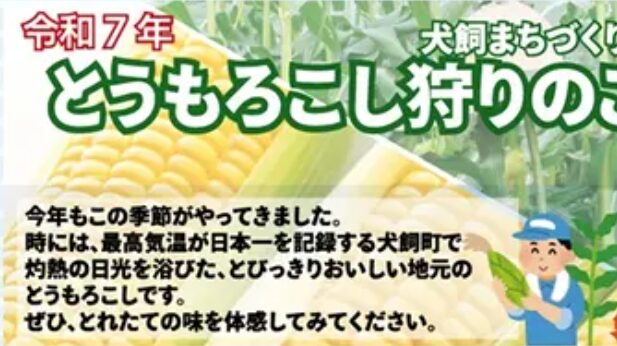 先着100名！犬飼町で『とうもろこし狩り』が開催されます│LOG OITA