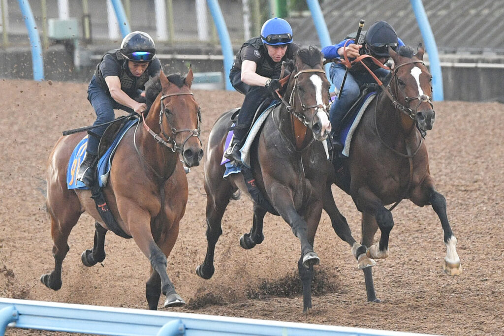 【宝塚記念１週前追い切り】ダノンベルーガは豪華３頭併せ 初コンビのレーンが手応え明かす - 東スポ競馬