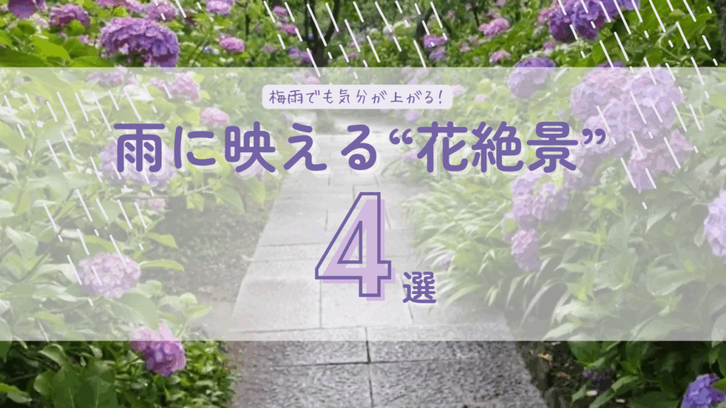 【愛知・三重】梅雨でも気分が上がる！雨に映える“花絶景” | おでかけ | Locipo Press