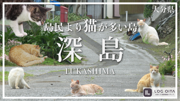 大分にある島民より猫が多い島って知ってる？【深島】│LOG OITA