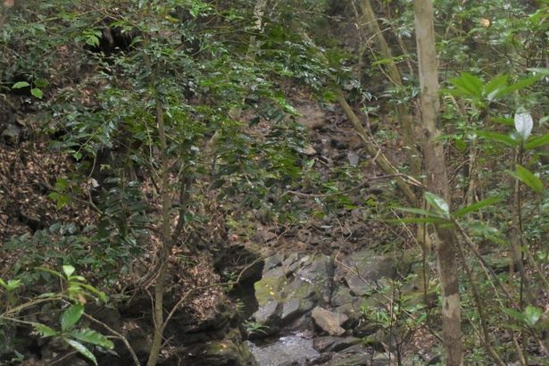 写真展「『集団自決』消せない傷痕」　県庁1階・県民ホールで16日～20日　9.29の会　沖縄戦80年