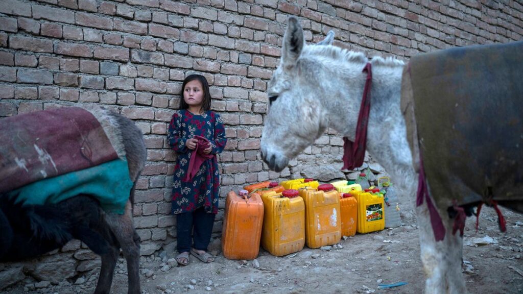 現代史上初の危機、首都が「水枯れ」の瀬戸際に アフガニスタン(1/2) – CNN.co.jp 現代史上初の危機、首都が「水枯れ」の瀬戸際に アフガニスタン(1/2) - CNN.co.jp