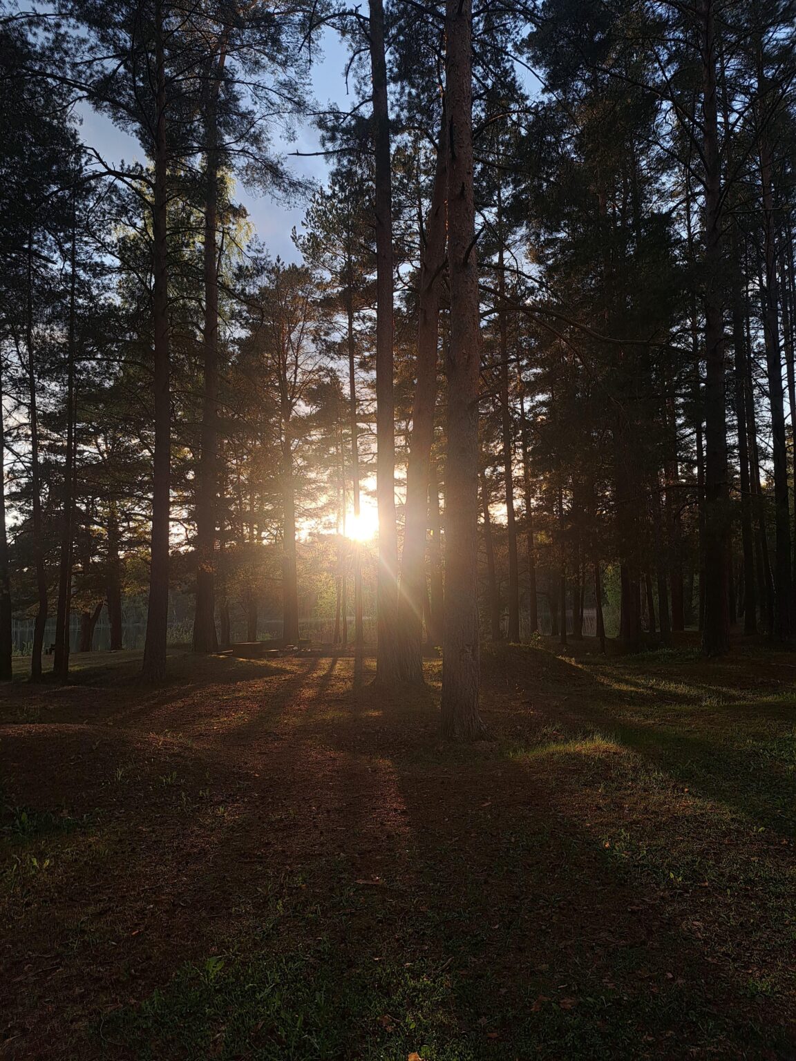 cēsis "ninieri"湖側