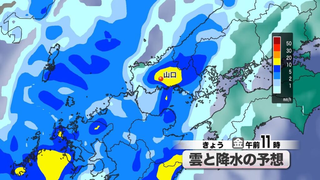 共有