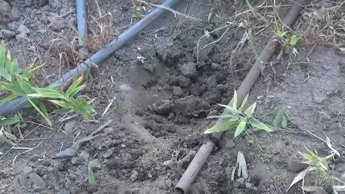 民家にクマ　台所で住人と出くわす　岩手県花巻市